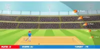 Box Cricket 2D : Cricket Game Screen Shot 2