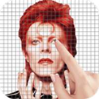 David Bowie Color by Number - Pixel Art Game