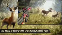 Archery Wild Hunt: Real Sniper Hunting Games 2020 Screen Shot 4