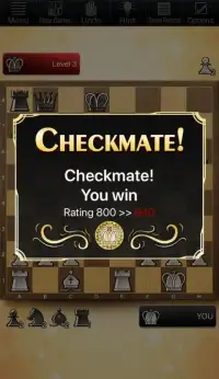 The Chess Lv.100 Screen Shot 1