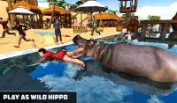 Angry Hippo Attack Simulator-City & Beach Attack Screen Shot 2