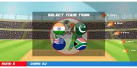 Box Cricket 2D : Cricket Game Screen Shot 4
