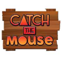 Catch the Mouse