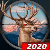 Archery Wild Hunt: Real Sniper Hunting Games 2020