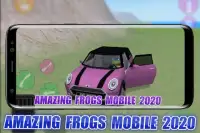Amazing Squat Frog Simulator Screen Shot 0