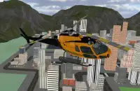 Pro Helicopter Simulator Screen Shot 5