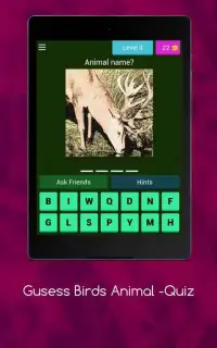Birds Animal Quiz - Guess the Birds Animal Game Screen Shot 2